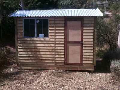 Shed door